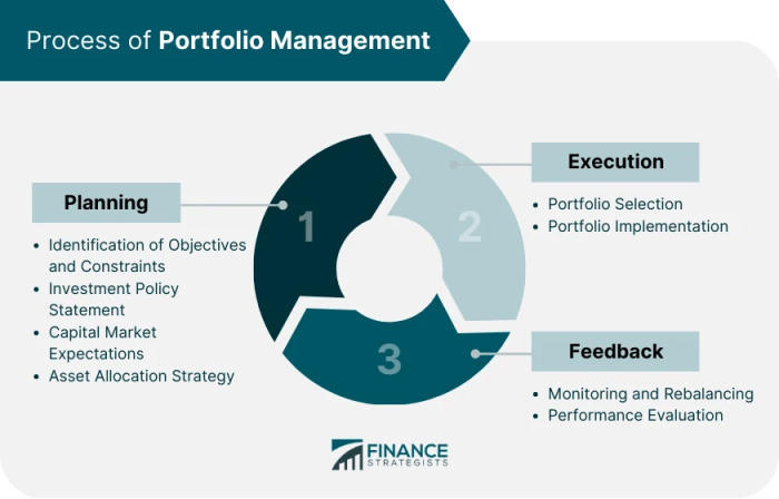What Is The Process of Portfolio Management | Detailed Steps