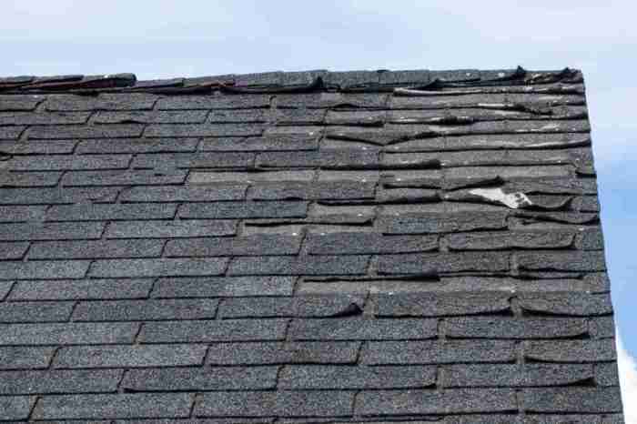 Asbestos Asphalt Composition Shingles Photograph by Inga Spence - Fine ...
