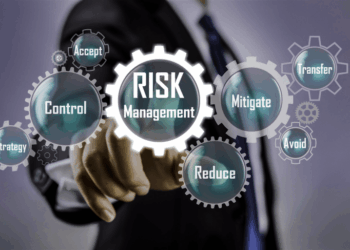 Risk management - DELFF